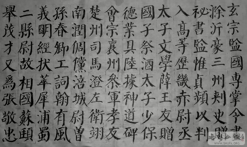 20090113253-001.jpg
