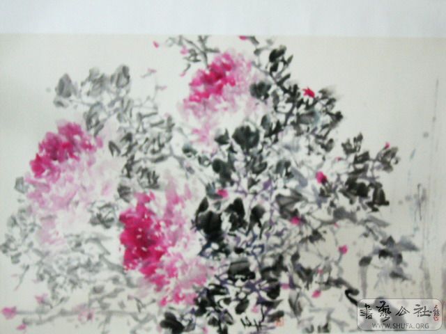 P1050261.jpg