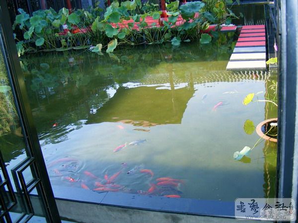 20080917_fc16963e57060ca4a936nQpAxqEeo4m0.jpg