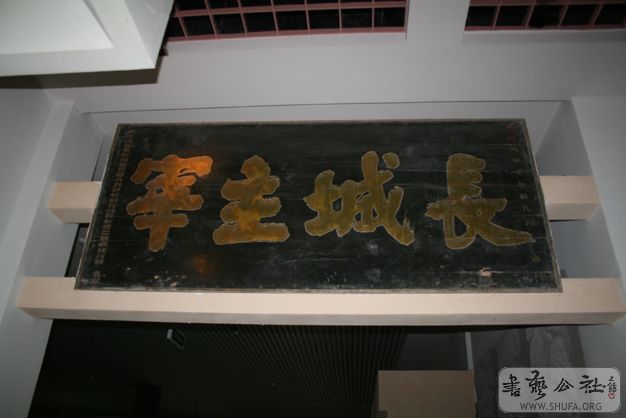 IMG_7675.jpg