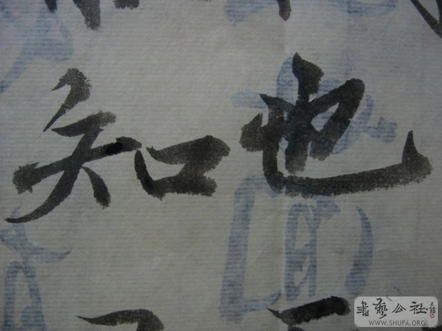Ƭ 009.jpg