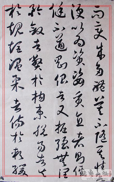 DSC00686.jpg