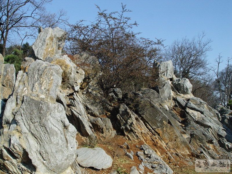 DSC05021.JPG