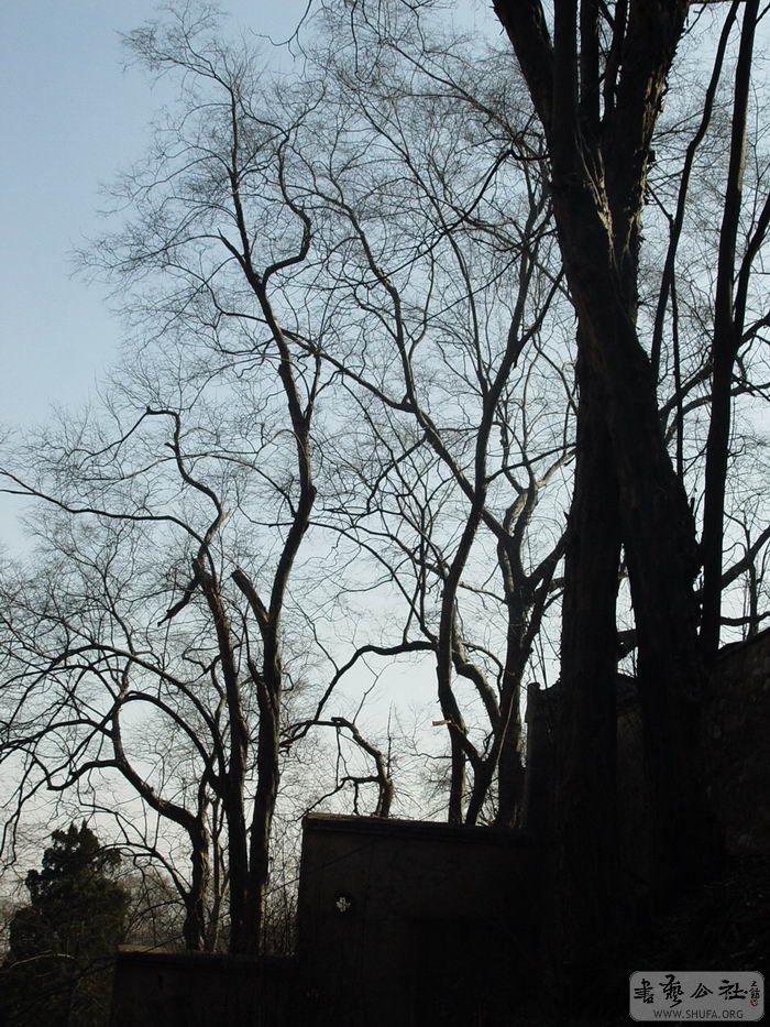 DSC05058.JPG