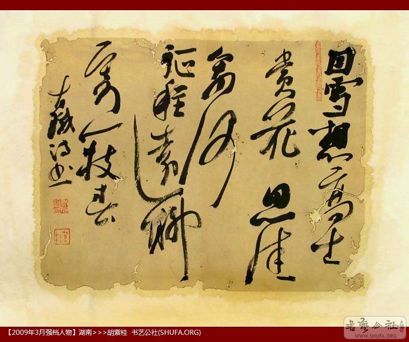 鷨006.jpg