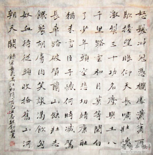 P1050894.jpg