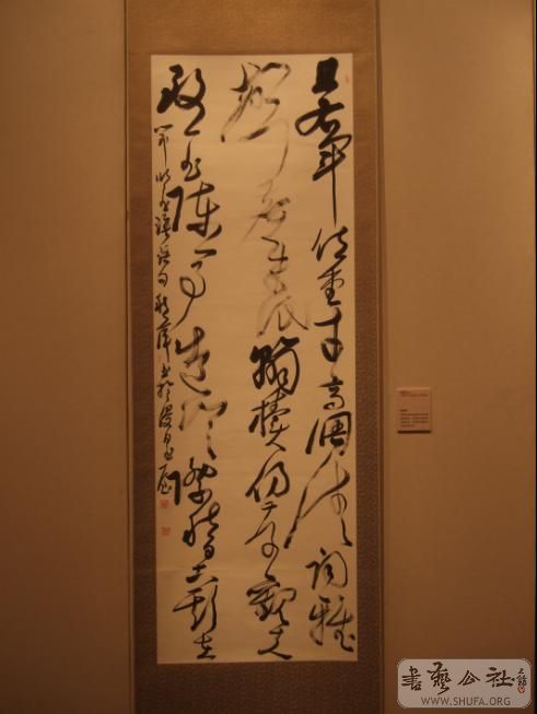 253.jpg