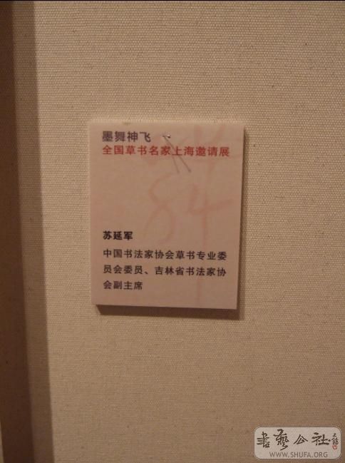 217.jpg