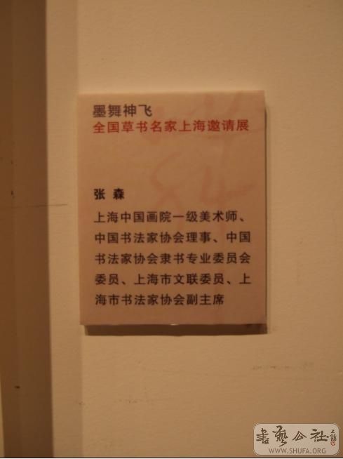 295.jpg