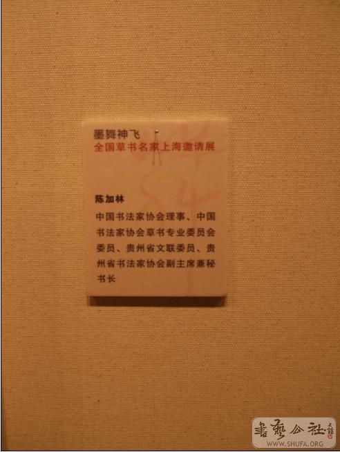 233.jpg