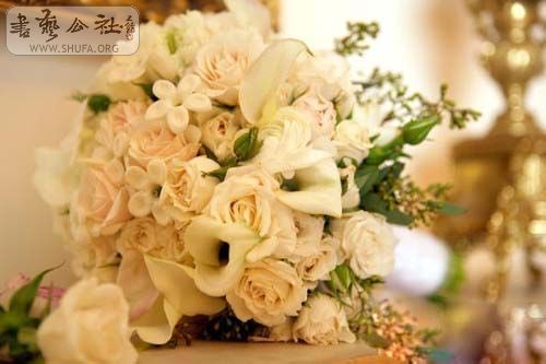 zz072690e09252d0c3abfa.jpg