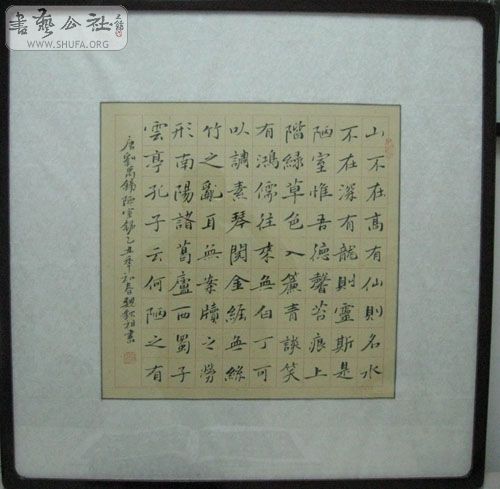 鷨.jpg