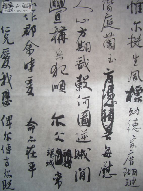 03.jpg