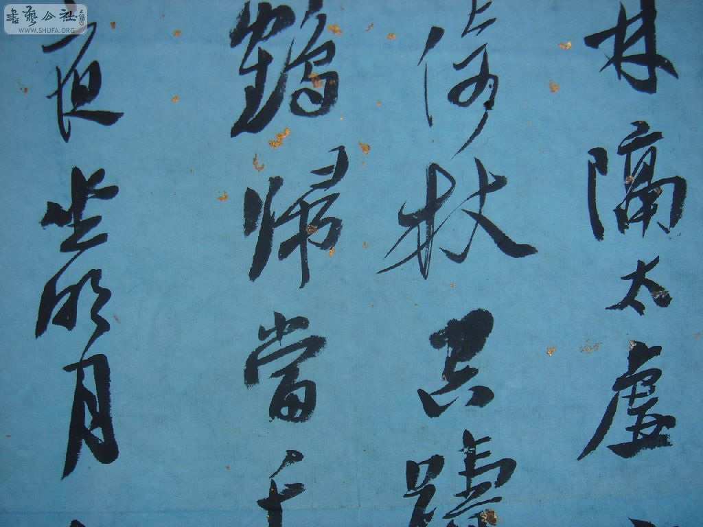 Dsc04837.jpg