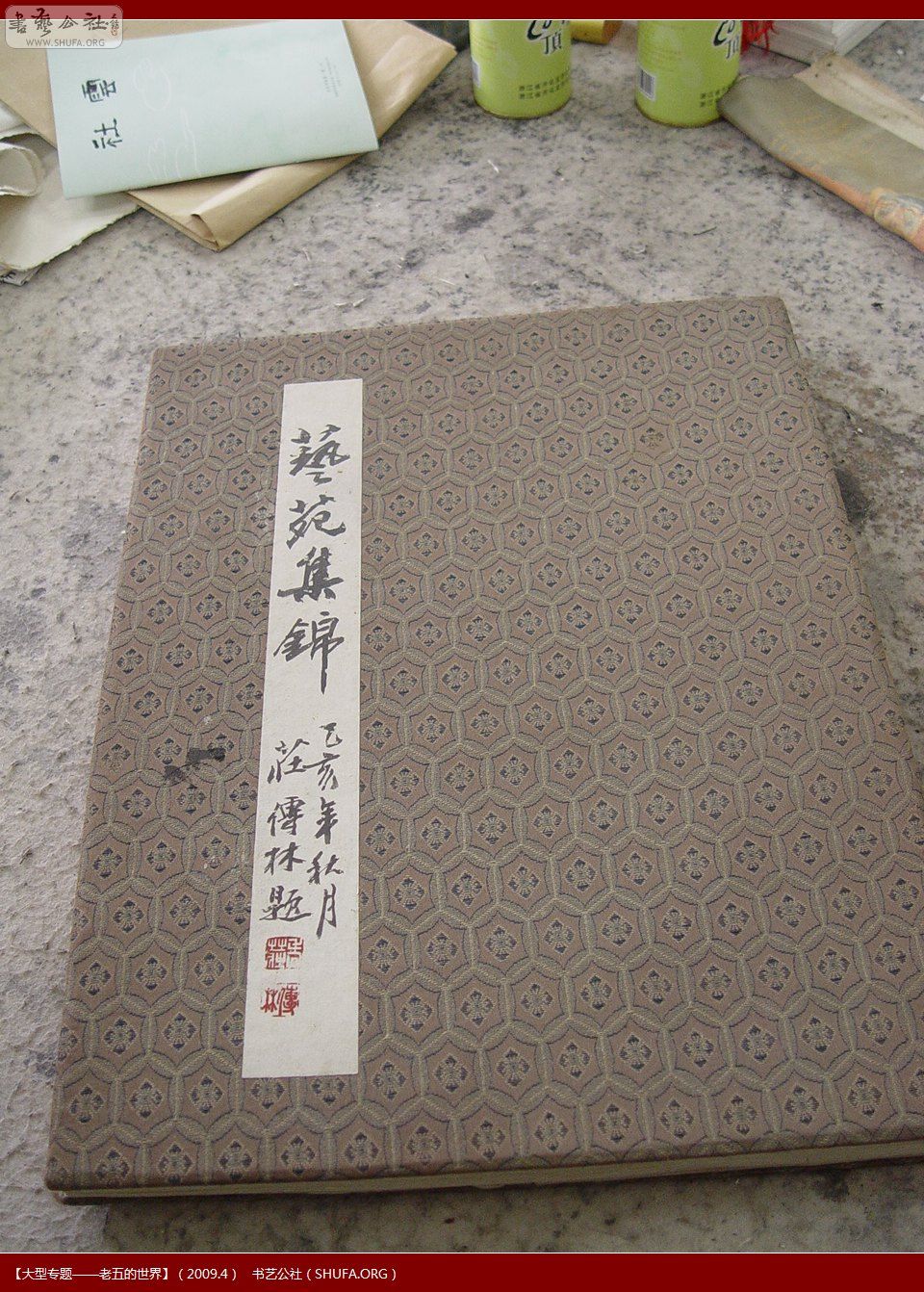DSC01420.JPG