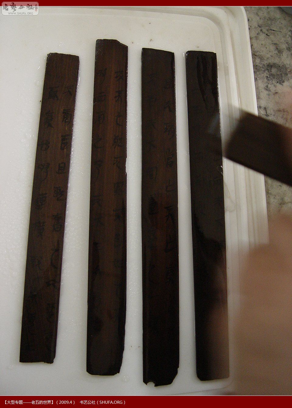 DSC01470.JPG