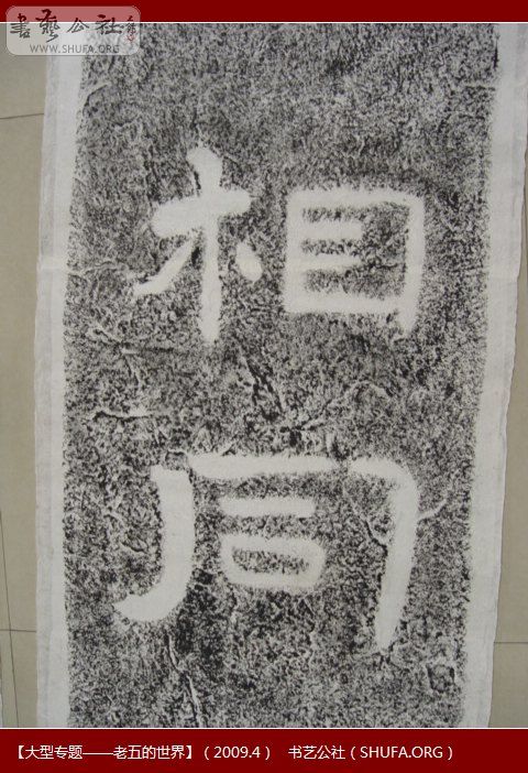 DSC00980.JPG