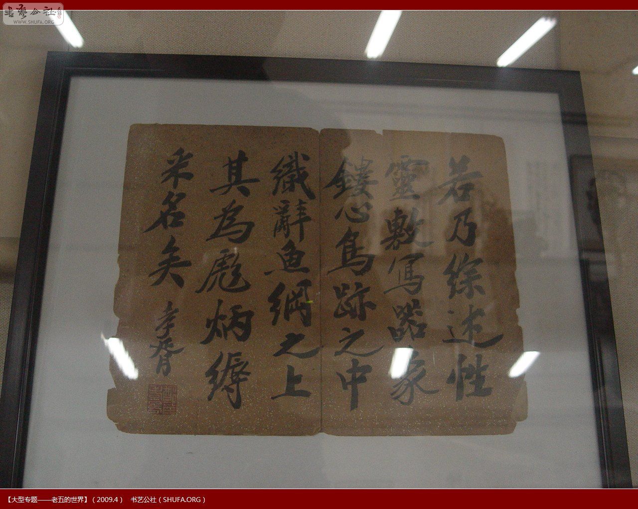DSC01534.JPG