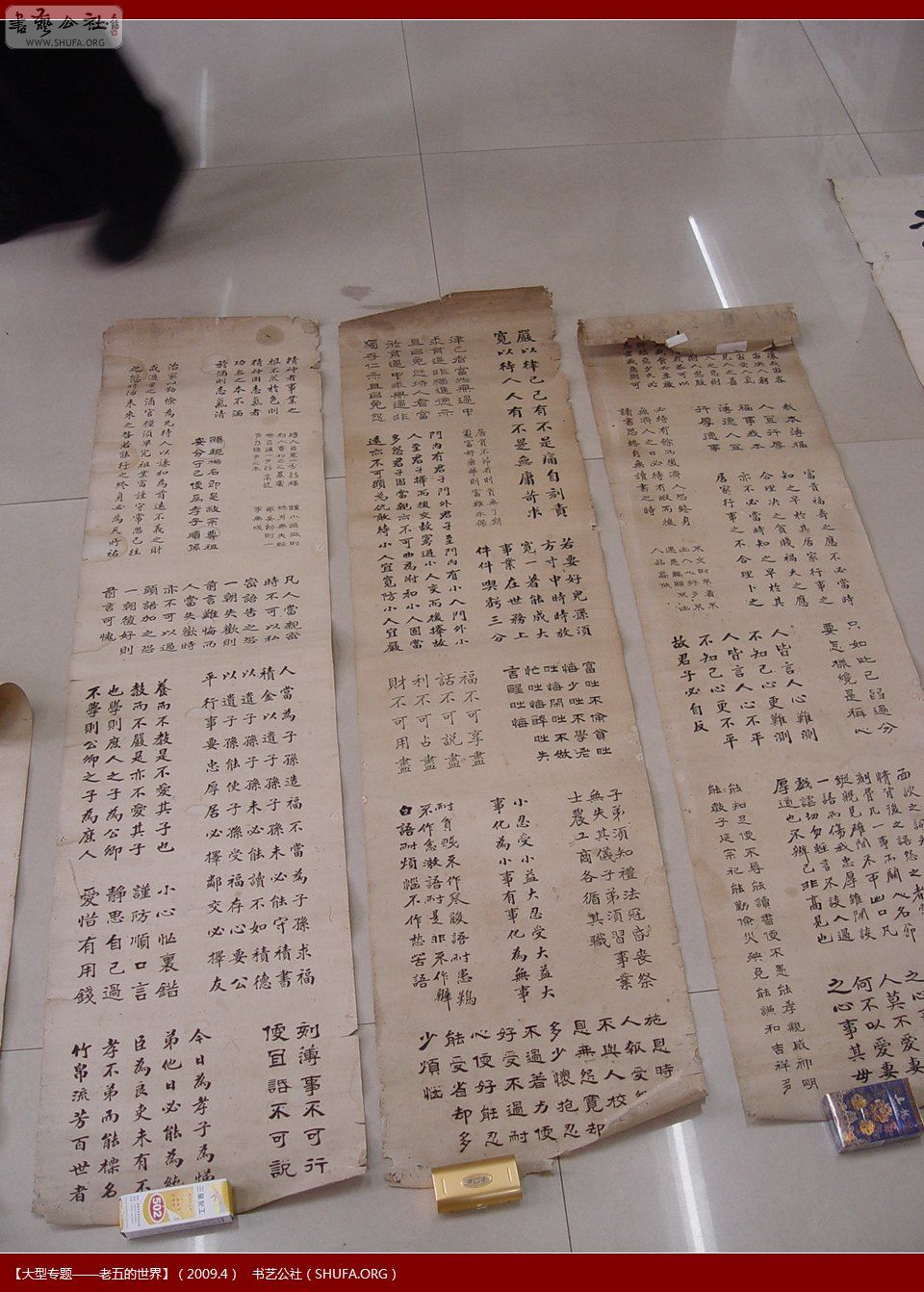 DSC01537.JPG