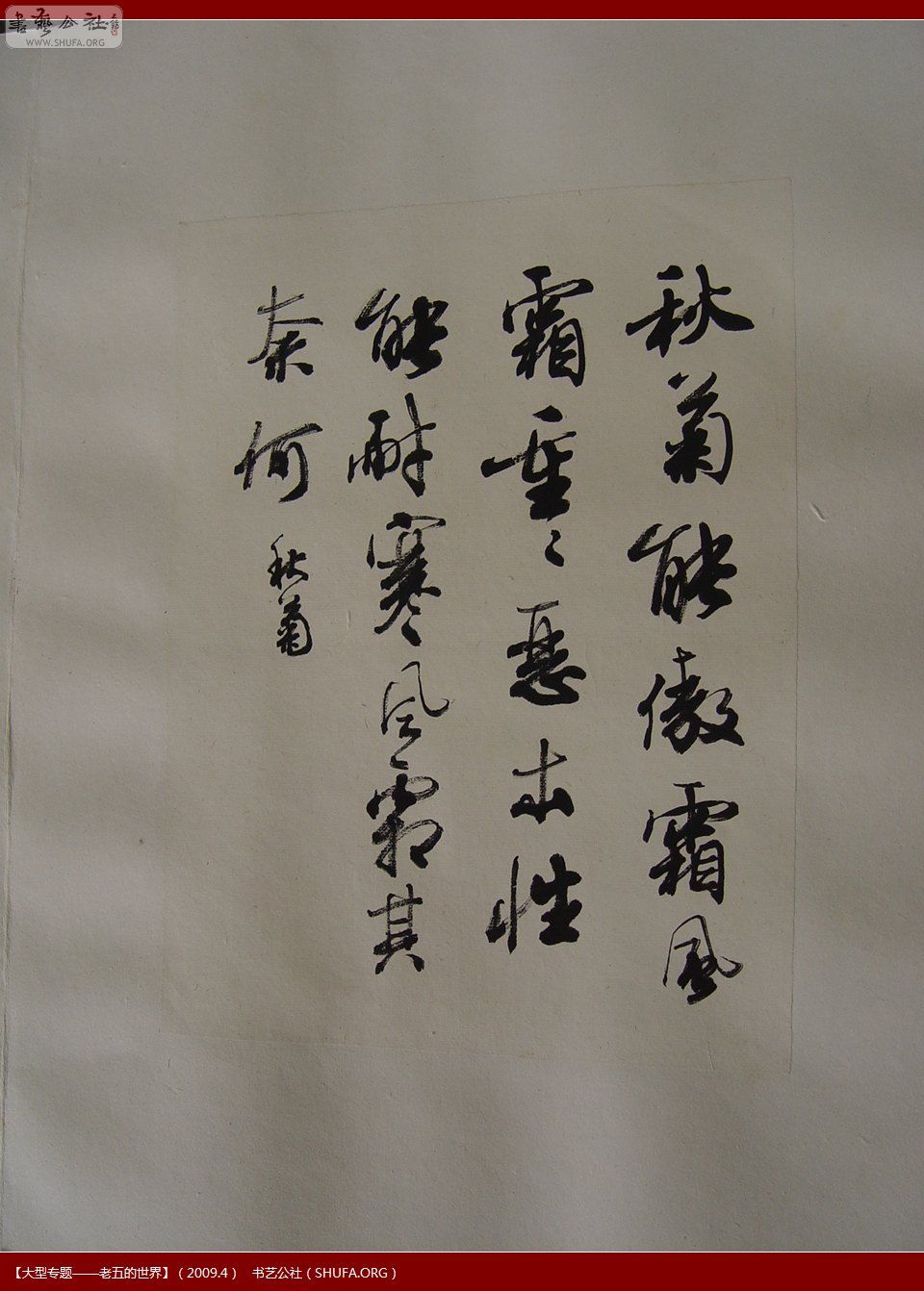 DSC01431.JPG