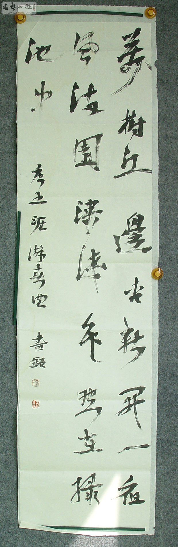 DSC01825.jpg