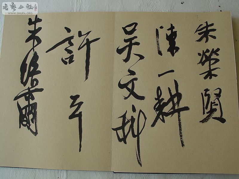 DSC07763.JPG