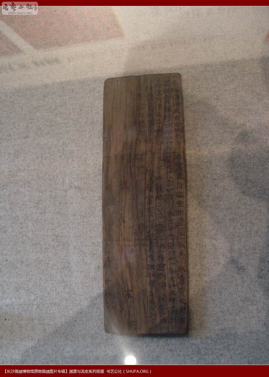 DSC02870.JPG