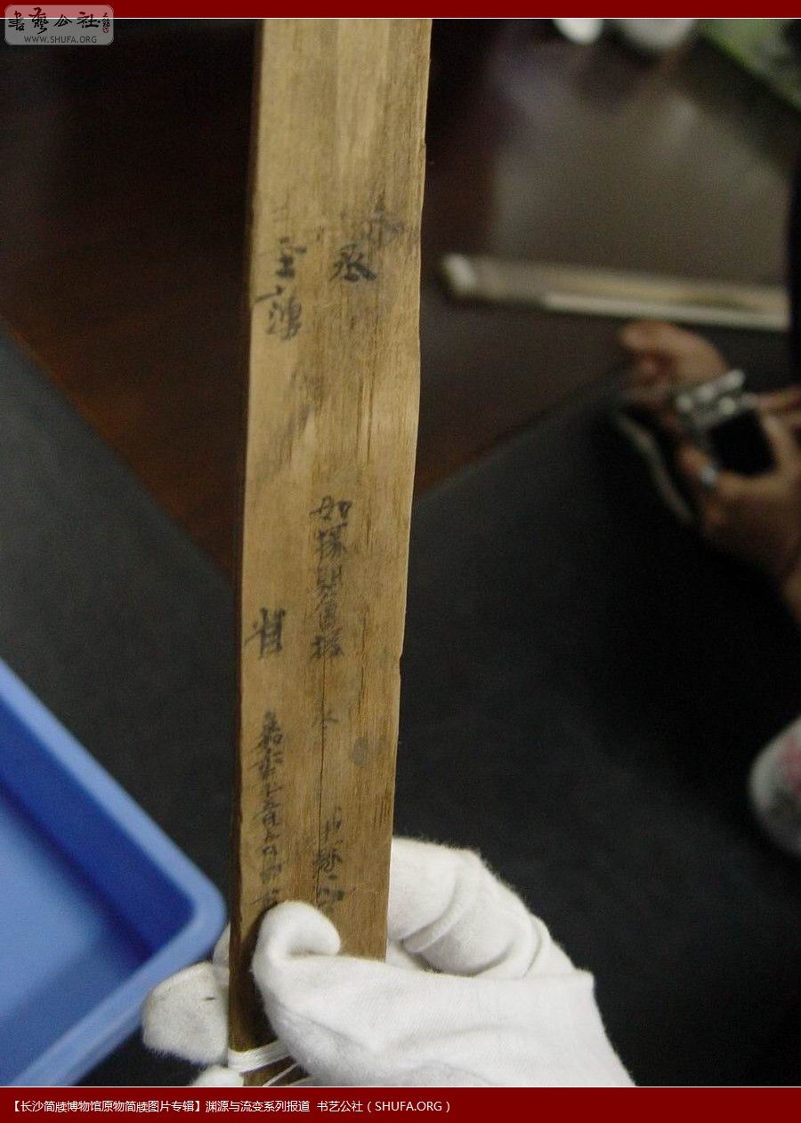 DSC02785.JPG