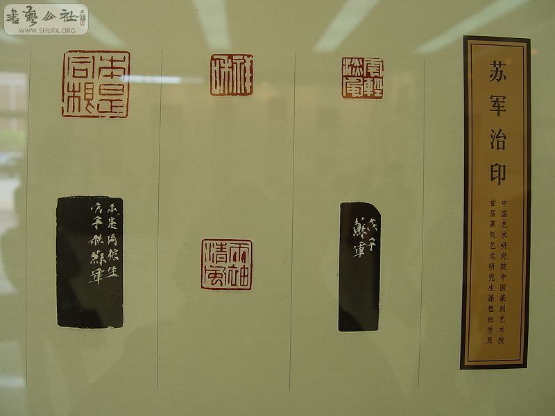 DSC07743.JPG