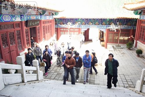 DPP_0134--1.jpg