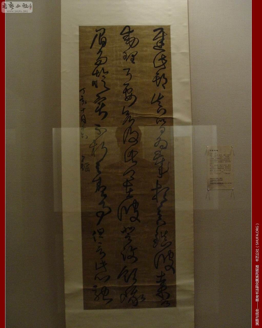 DSC02499.JPG