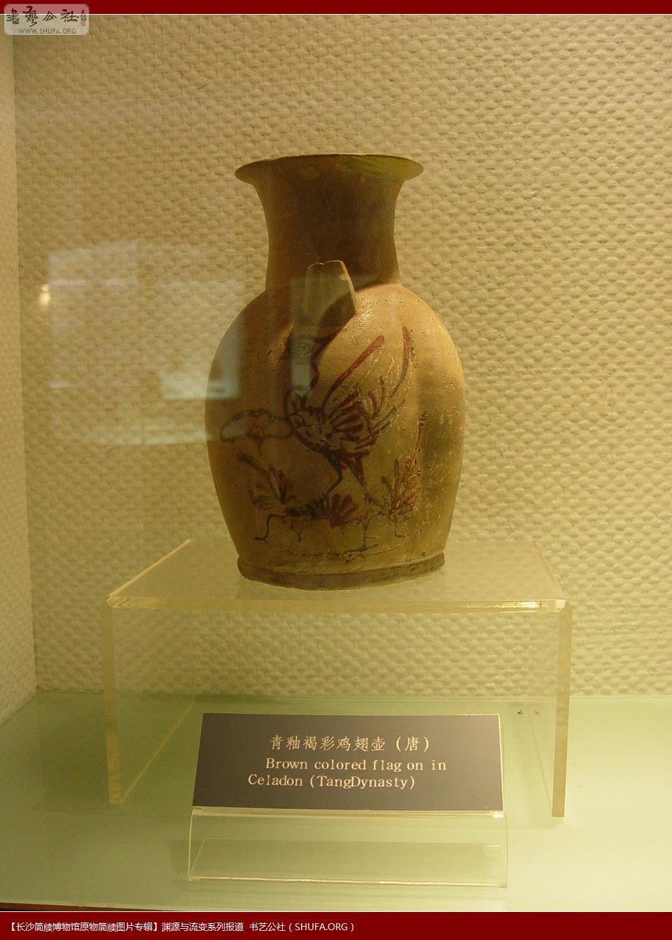DSC03006.JPG