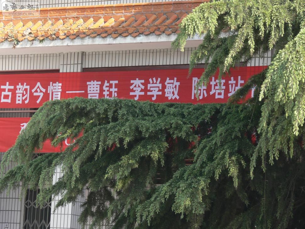 P1060285.jpg
