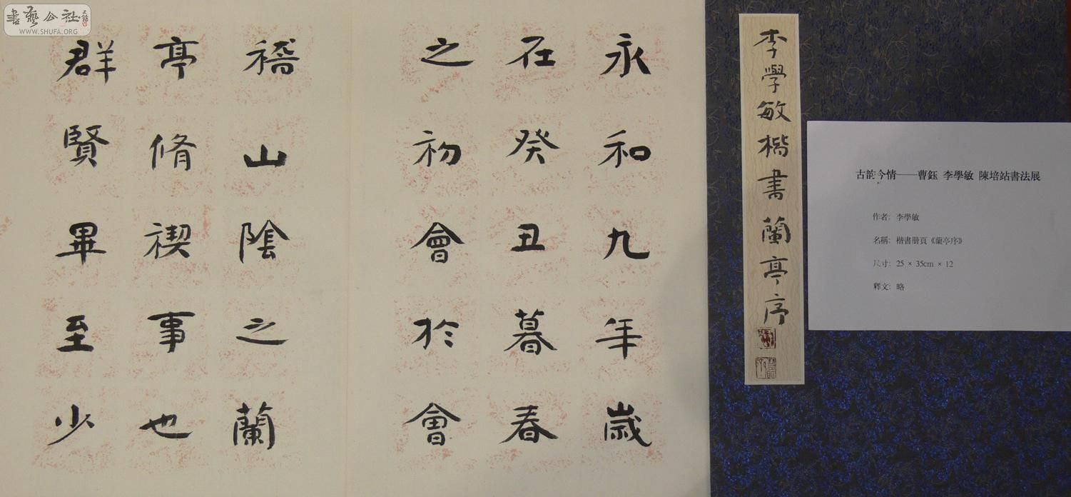 P1060311.jpg