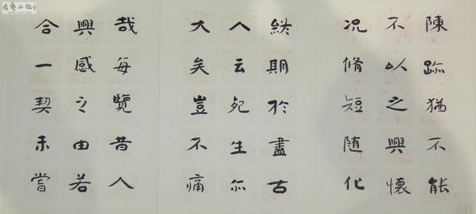 P1060313.jpg