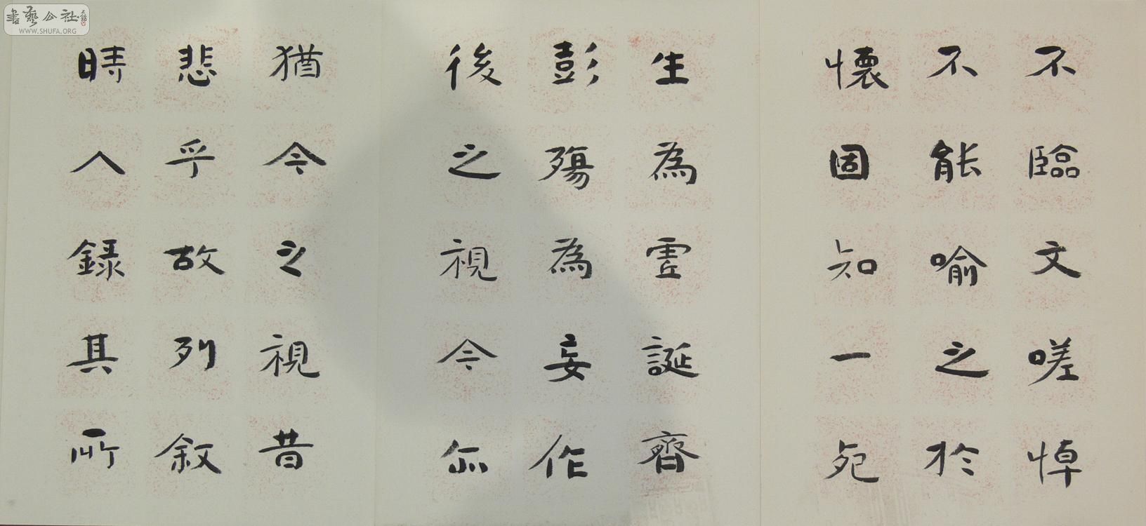 P1060314.jpg