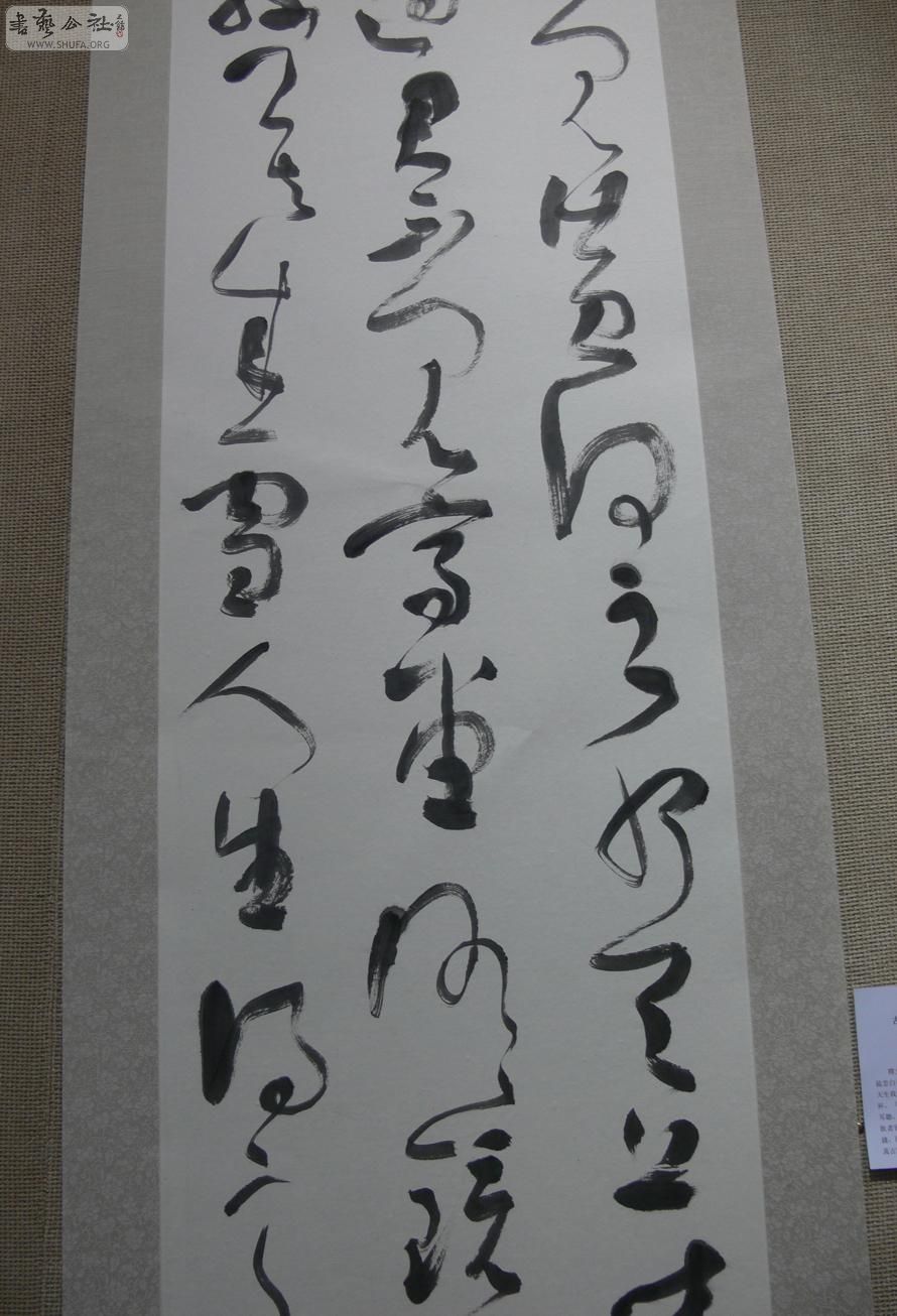 P1060188.jpg