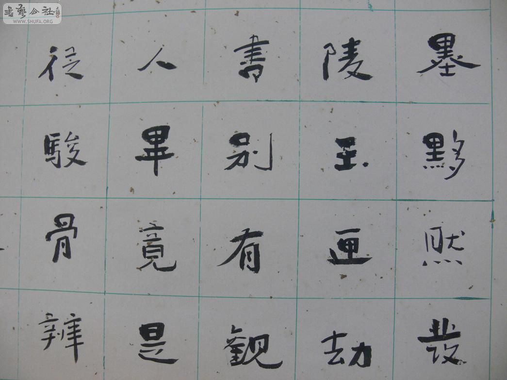 P1060200.jpg