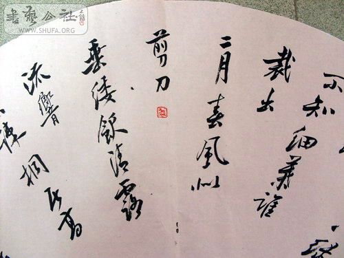 SDC11315.JPG