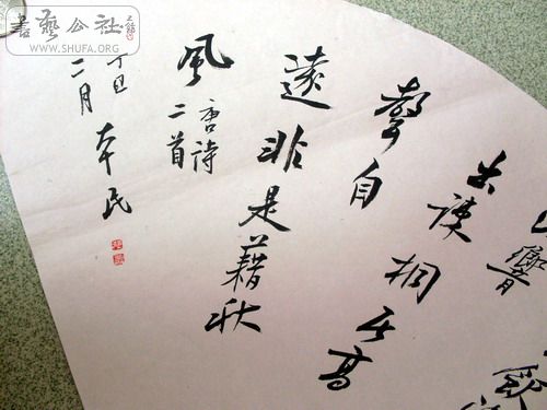 SDC11316.JPG