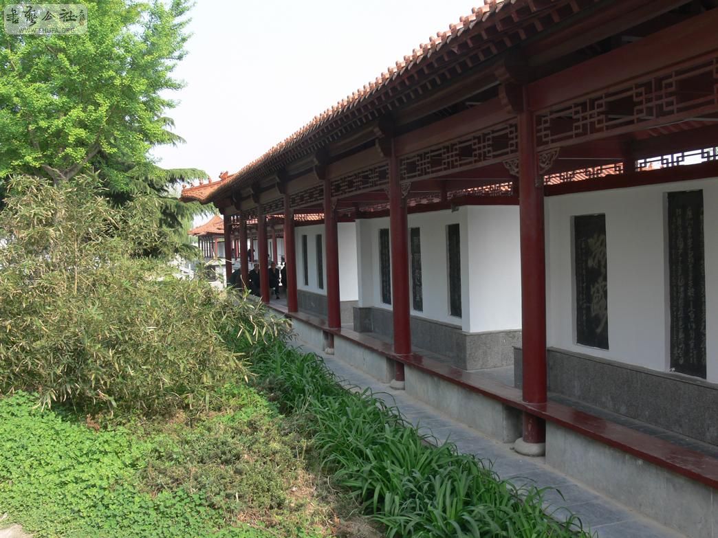 P1060351.jpg