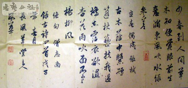 SDC11229.JPG