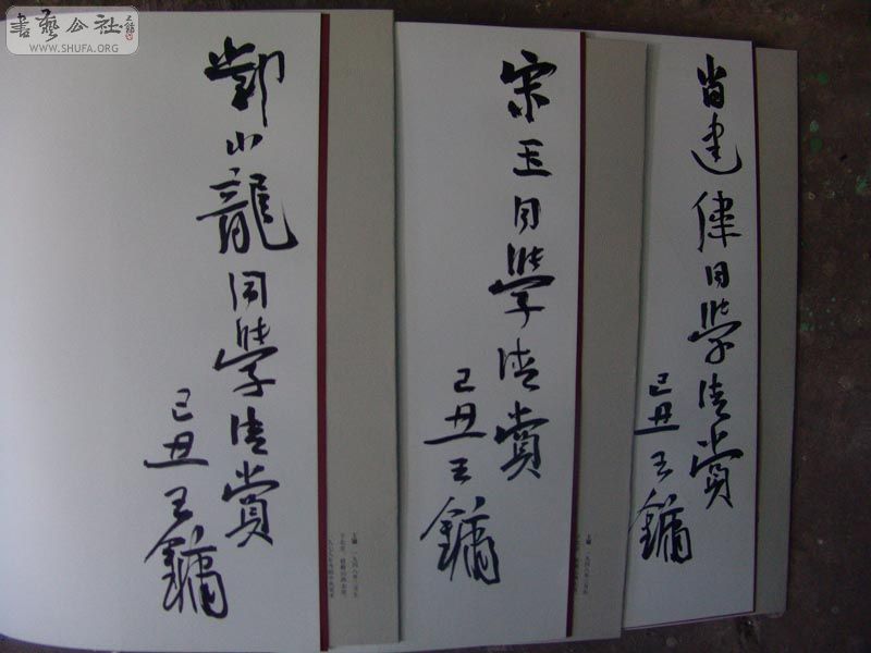 DSC03357.JPG