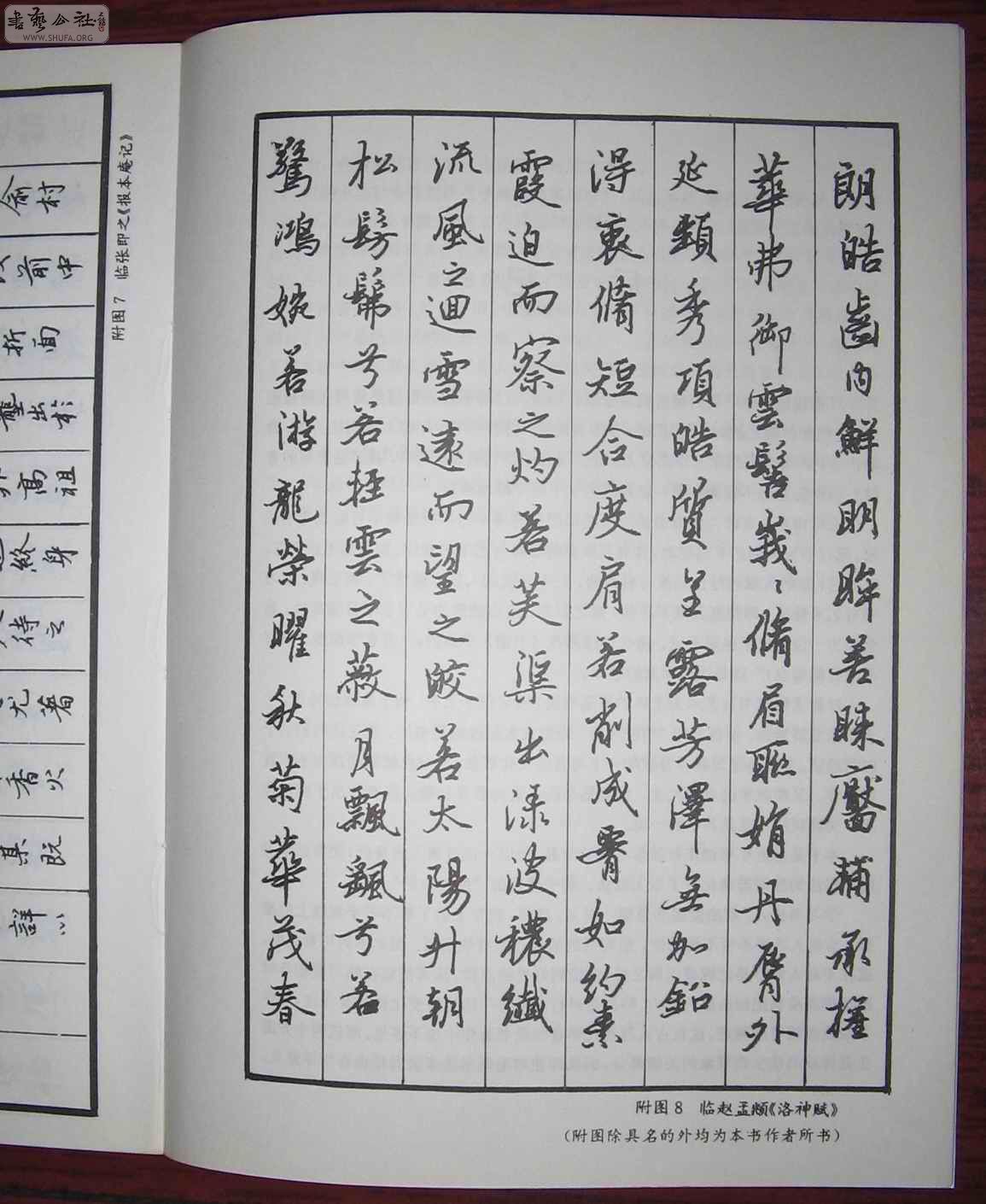 ֱ鷨.jpg