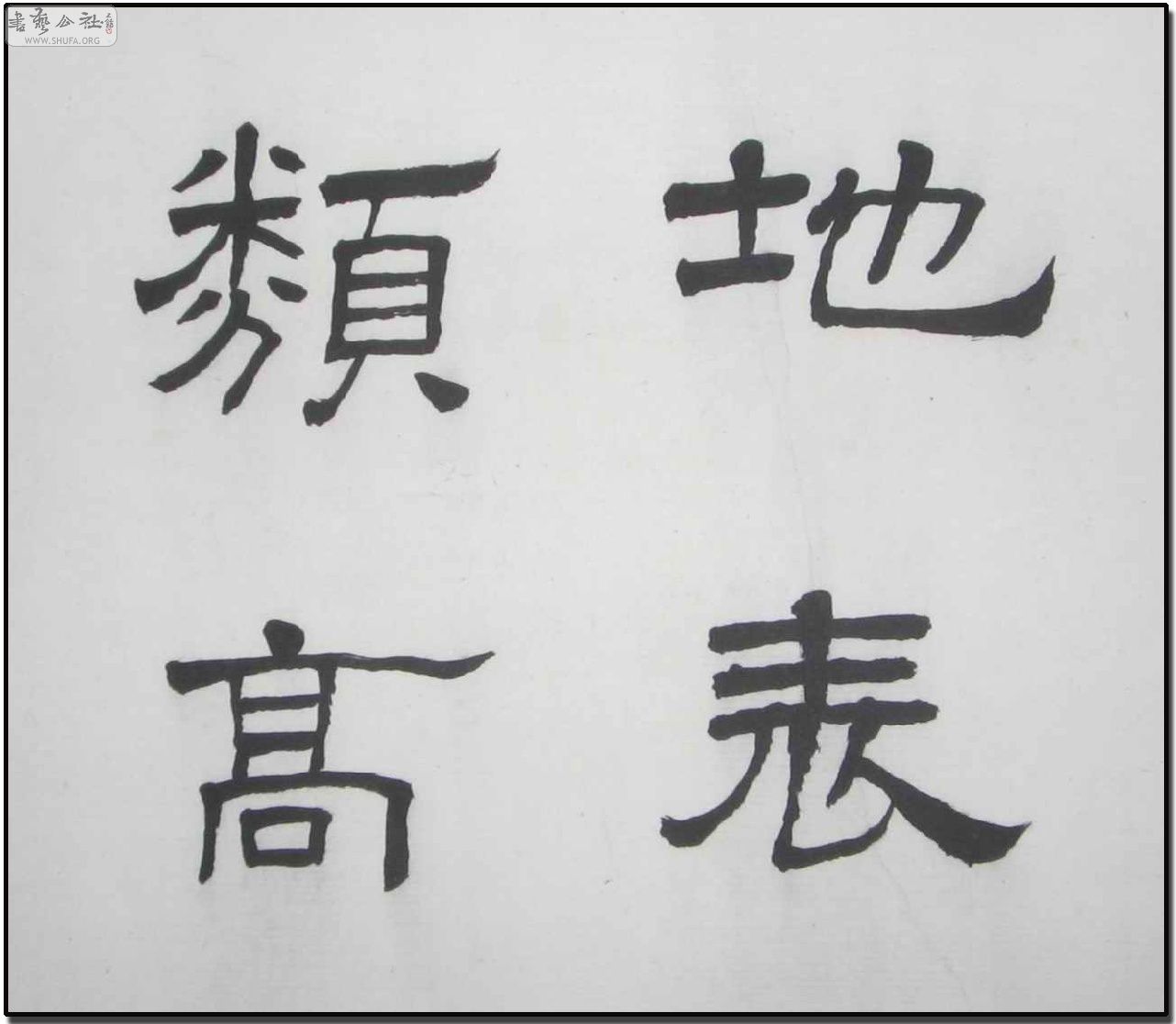 顶鷨2.JPG
