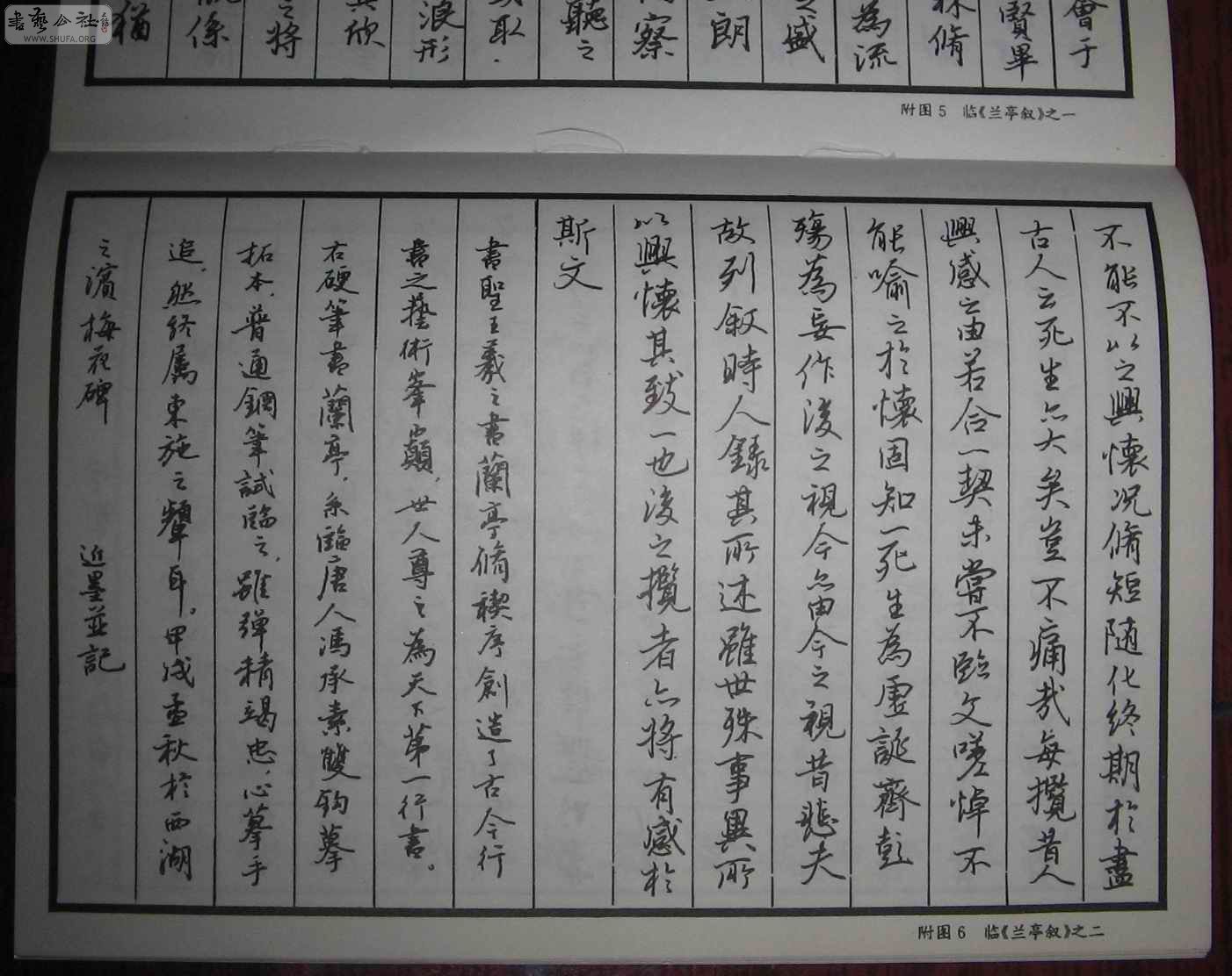 ֱ鷨ͤ 2.jpg