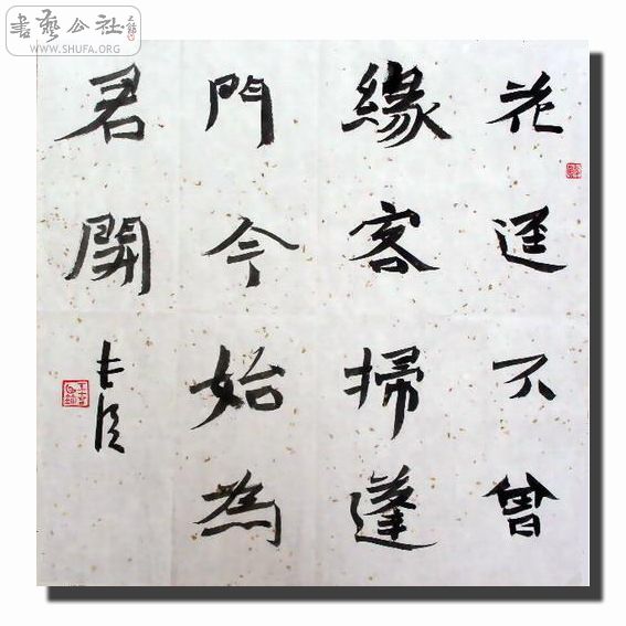 SDC11589 .jpg