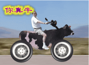 20090523_90633302b15591df0a11WkcEWZYaIITW.gif