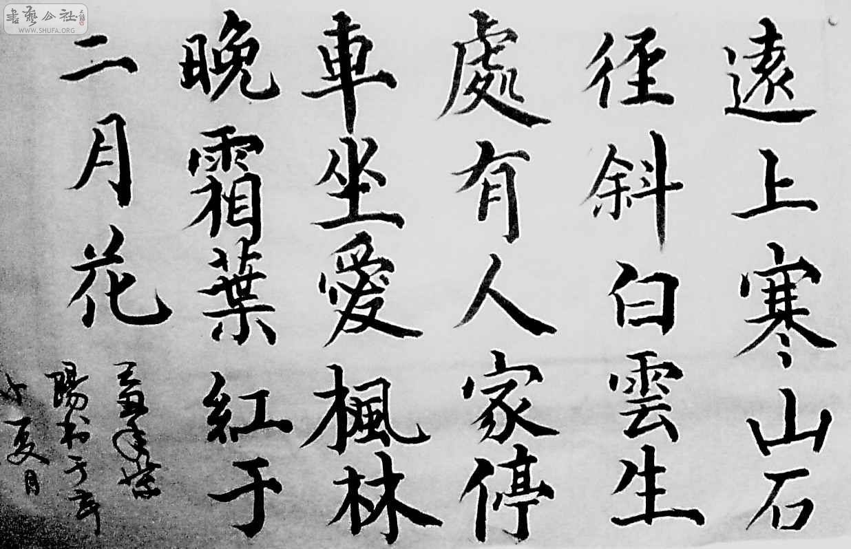 ɽ.jpg