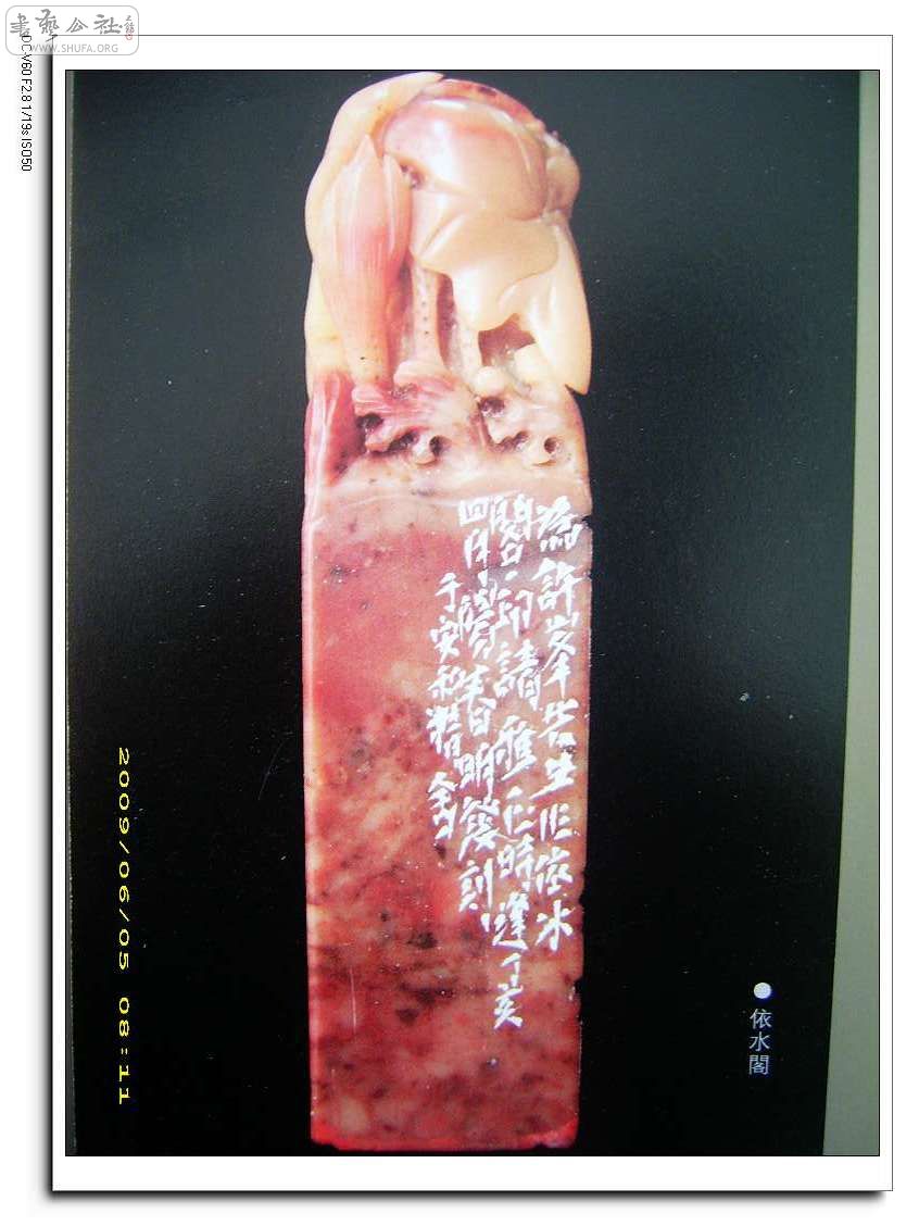 DSCI0048.jpg